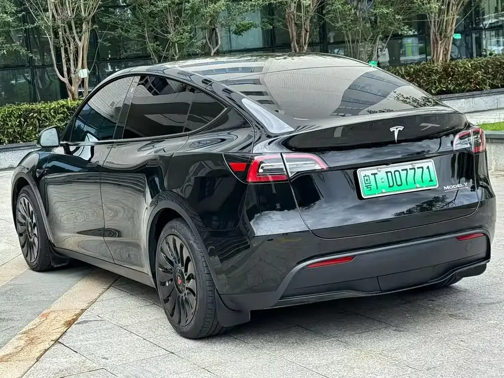 Tesla Model Y — фото 8