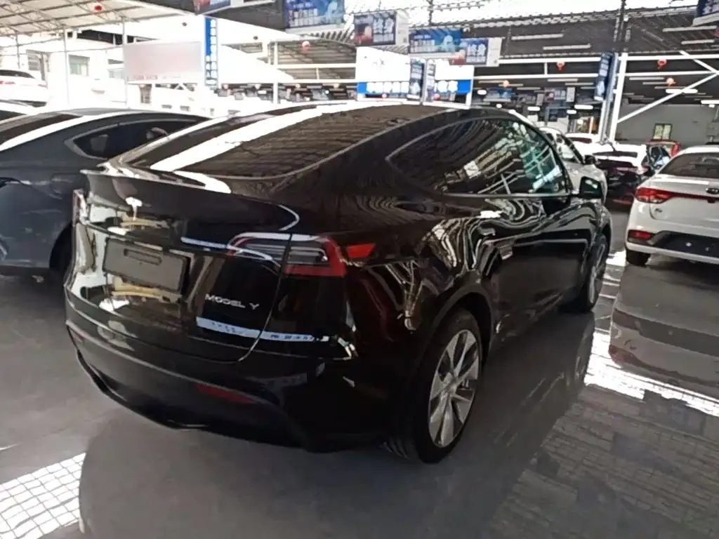 Tesla Model Y — фото 10