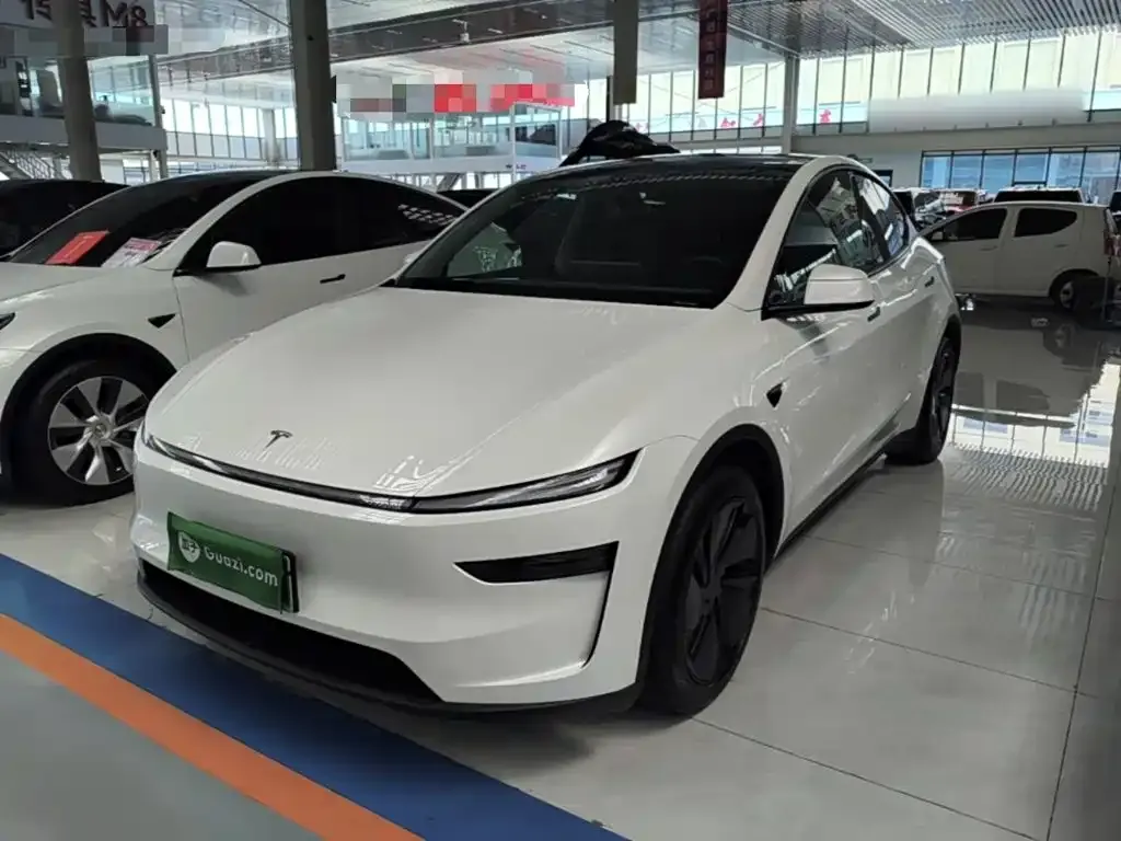 Tesla Model Y — фото 9
