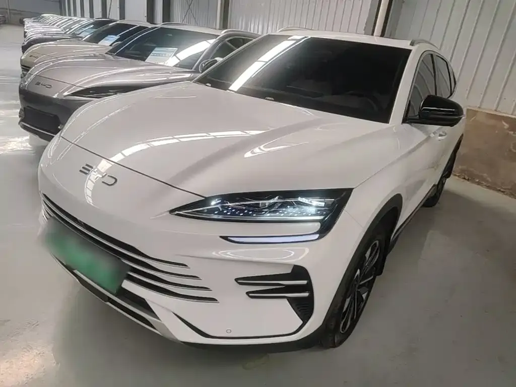 BYD PLUS New Energy — фото 1