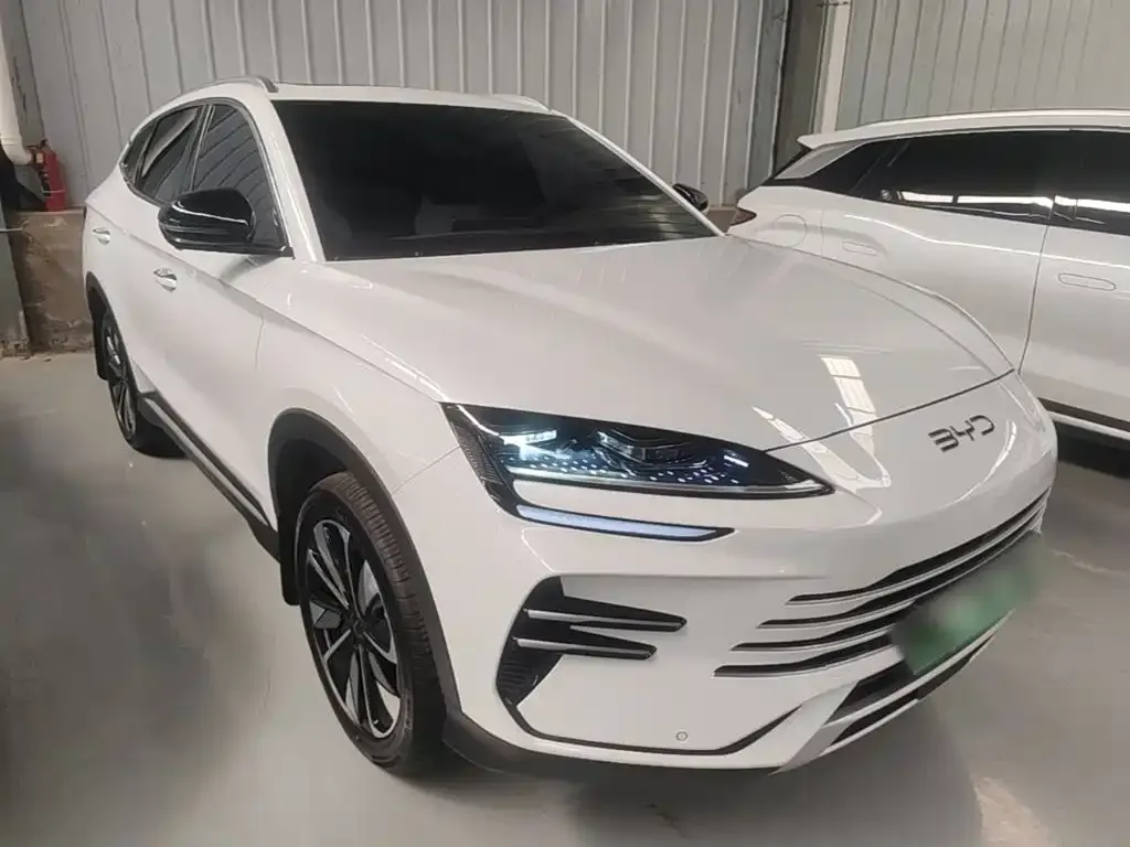 BYD PLUS New Energy — фото 3