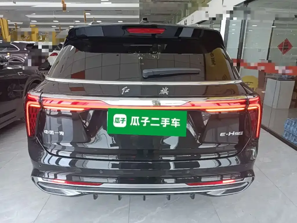 Hongqi E-HS9 — фото 4