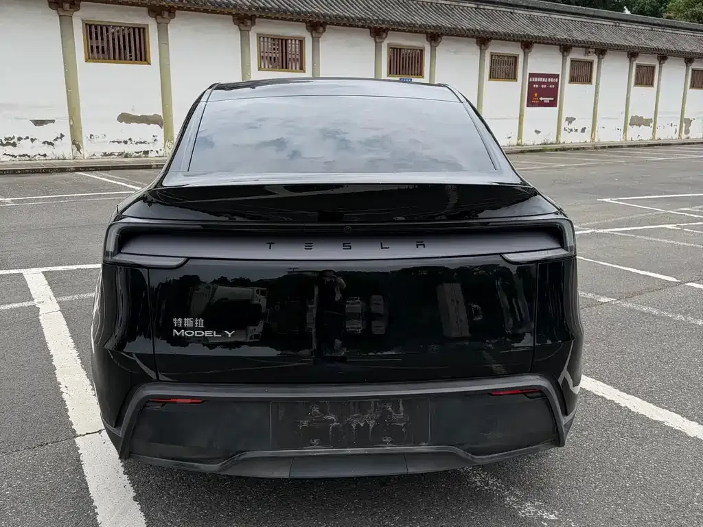 Tesla Model Y — фото 5