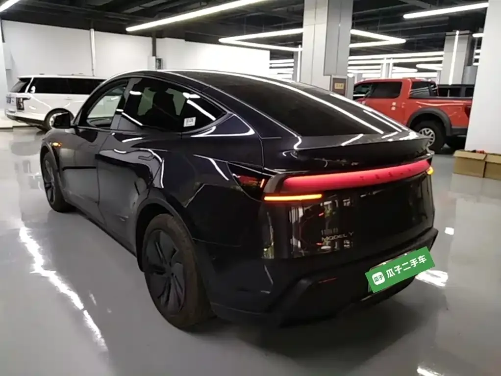 Tesla Model Y — фото 10