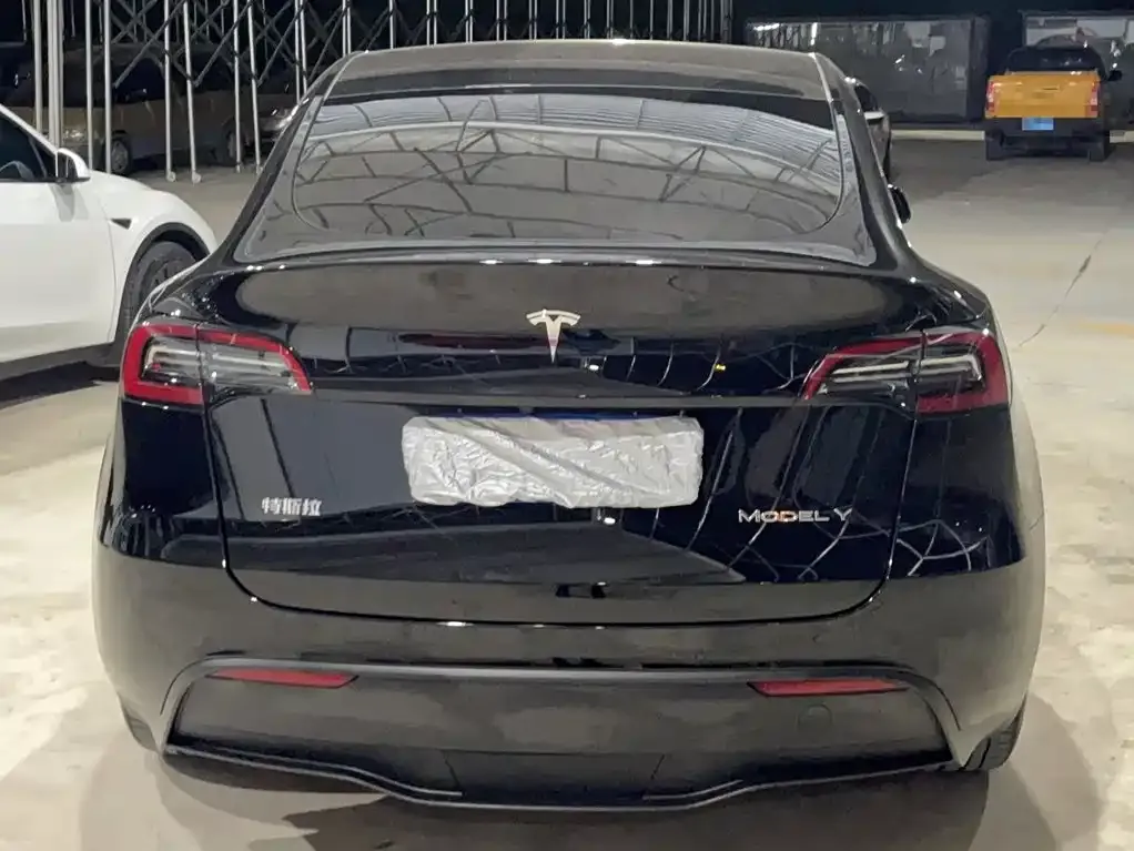 Tesla Model Y — фото 10