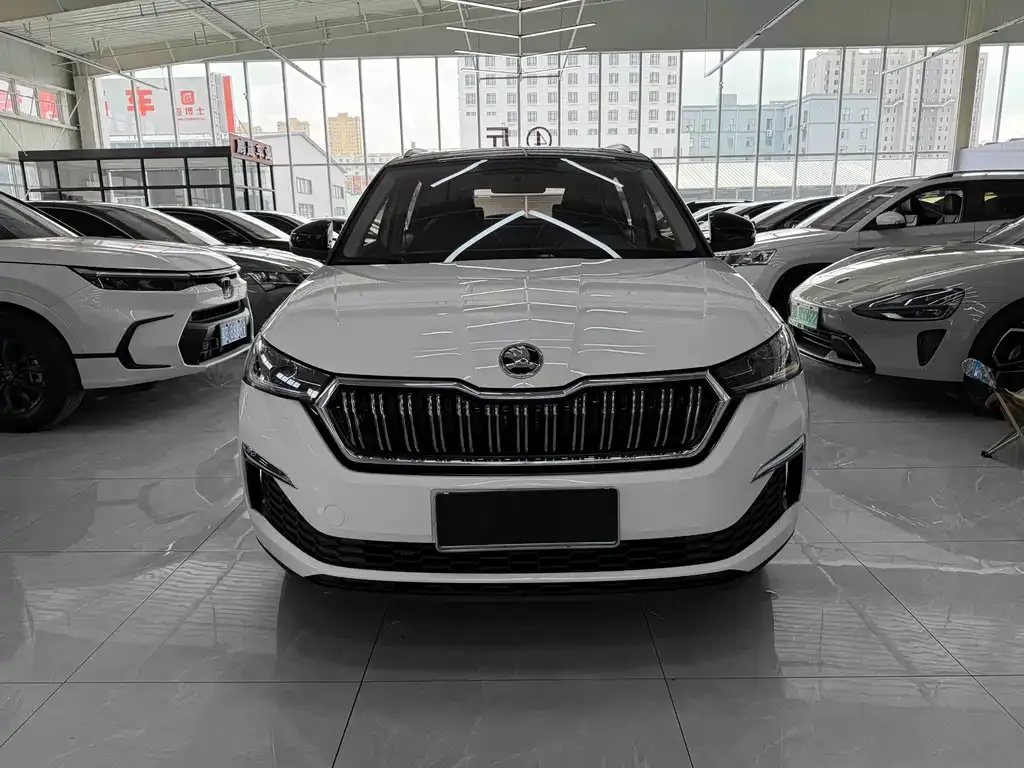 Skoda Kamiq 2023 из CN, фото 8
