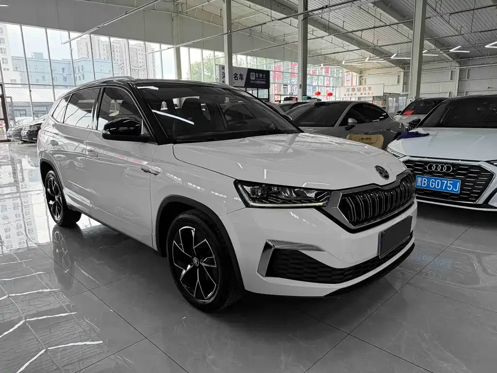 Skoda Kamiq 2023 из CN, фото 3