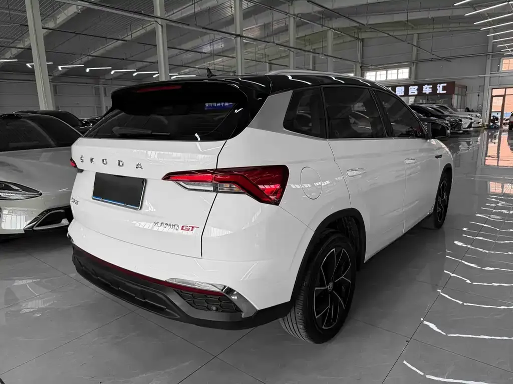 Skoda Kamiq 2023 из CN, фото 4