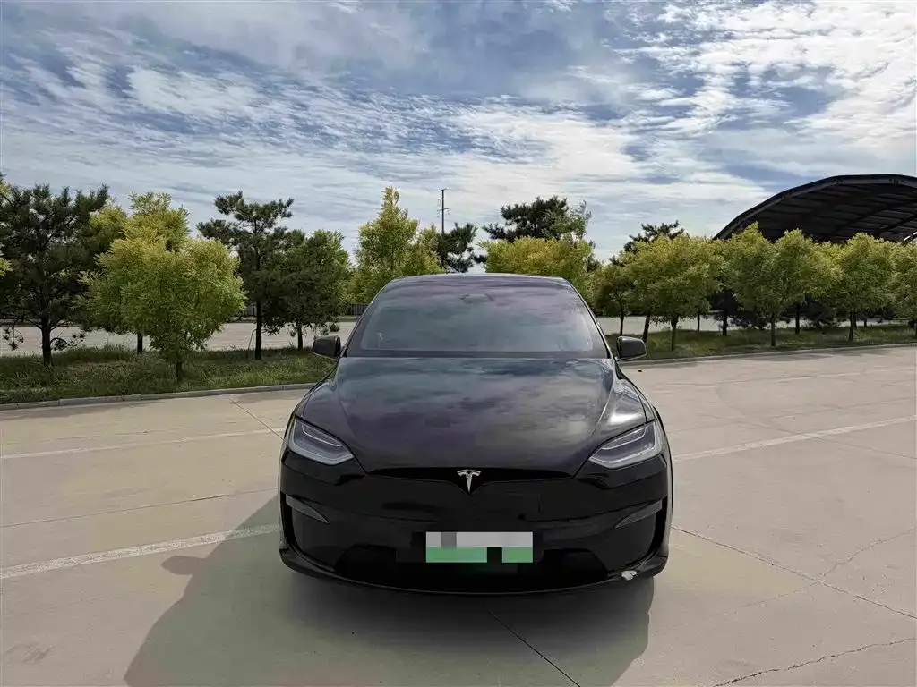 Tesla Model X — фото 6
