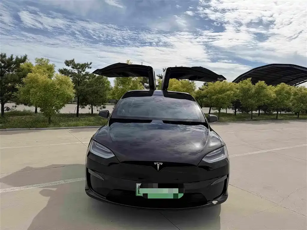 Tesla Model X — фото 9