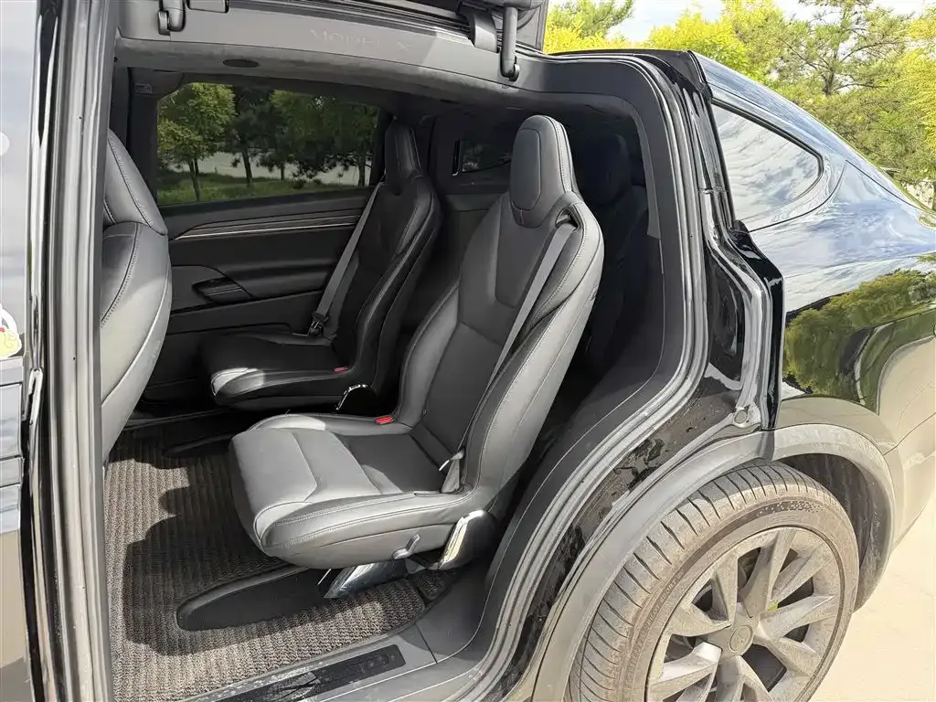 Tesla Model X — фото 8