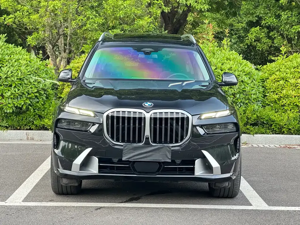 BMW X7 — фото 8