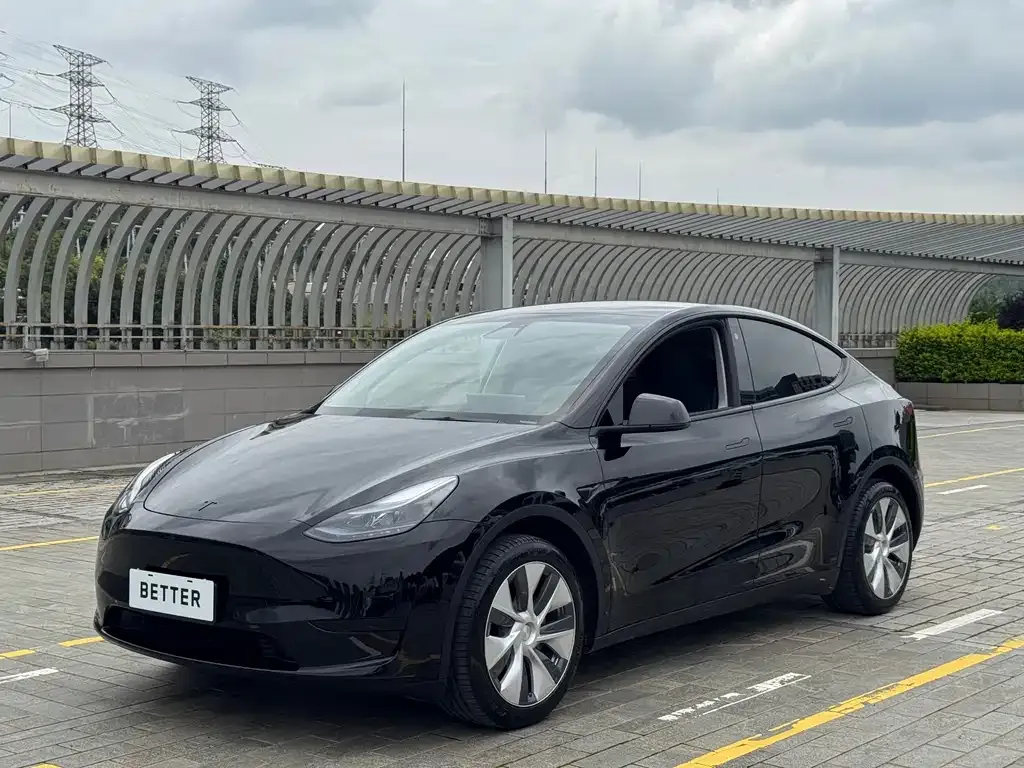 Tesla Model Y — фото 1