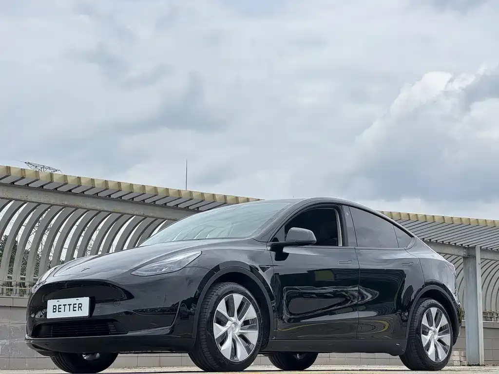 Tesla Model Y — фото 2