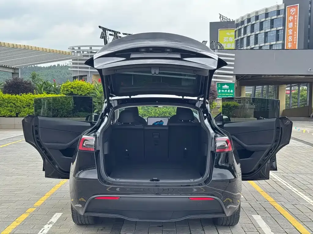 Tesla Model Y — фото 3