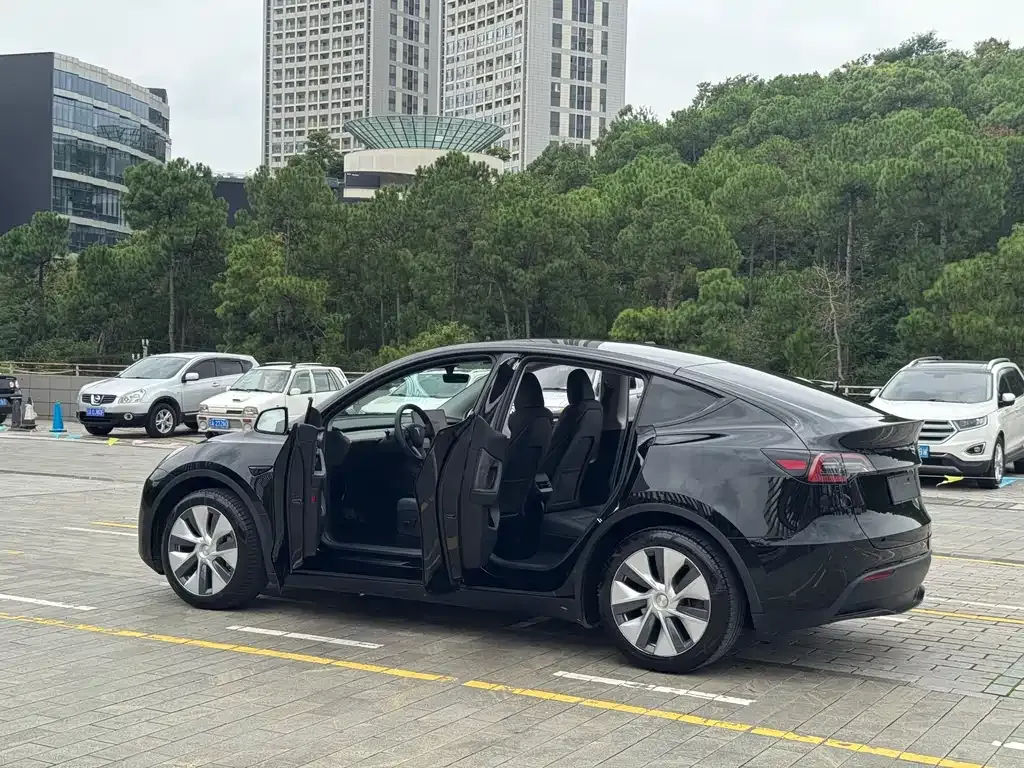 Tesla Model Y — фото 6