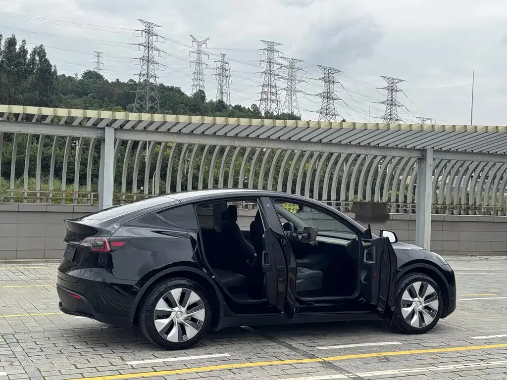 Tesla Model Y — фото 4