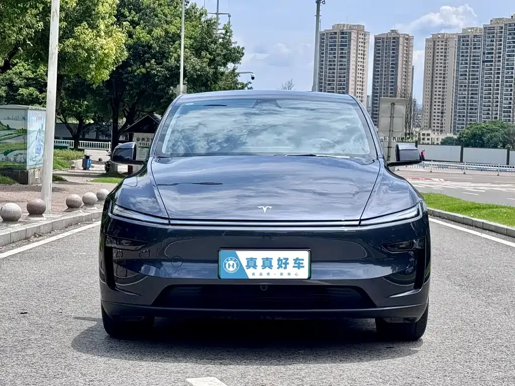 Tesla Model Y — фото 9