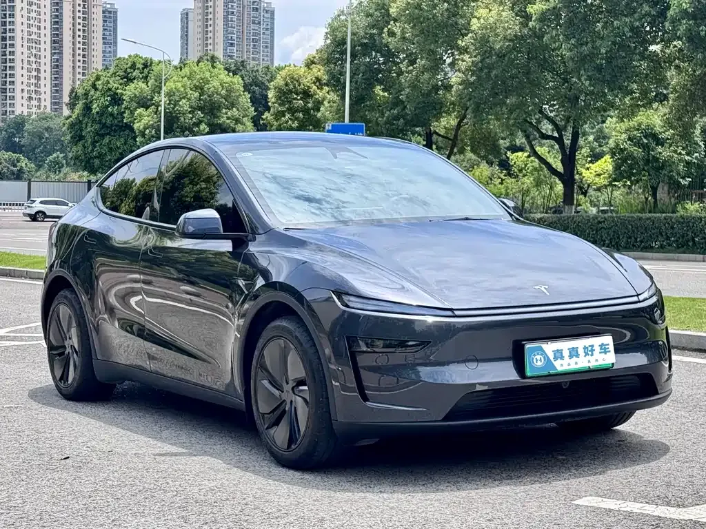 Tesla Model Y — фото 10