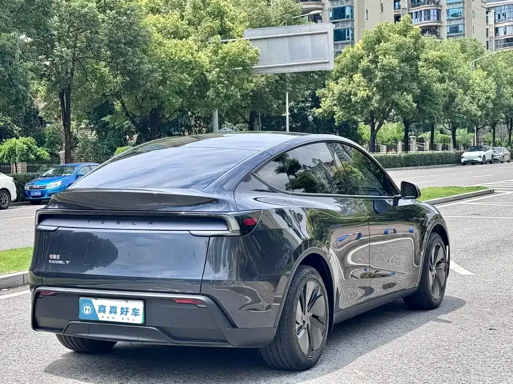 Tesla Model Y — фото 8