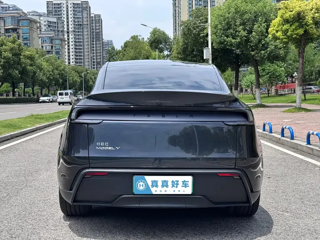 Tesla Model Y — фото 7