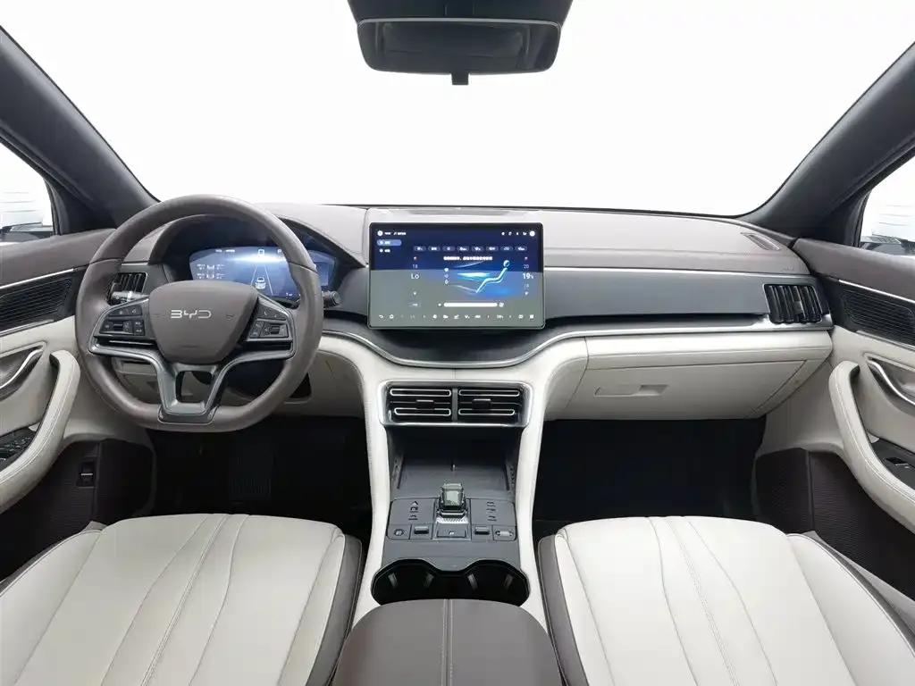 BYD PLUS New Energy — фото 6