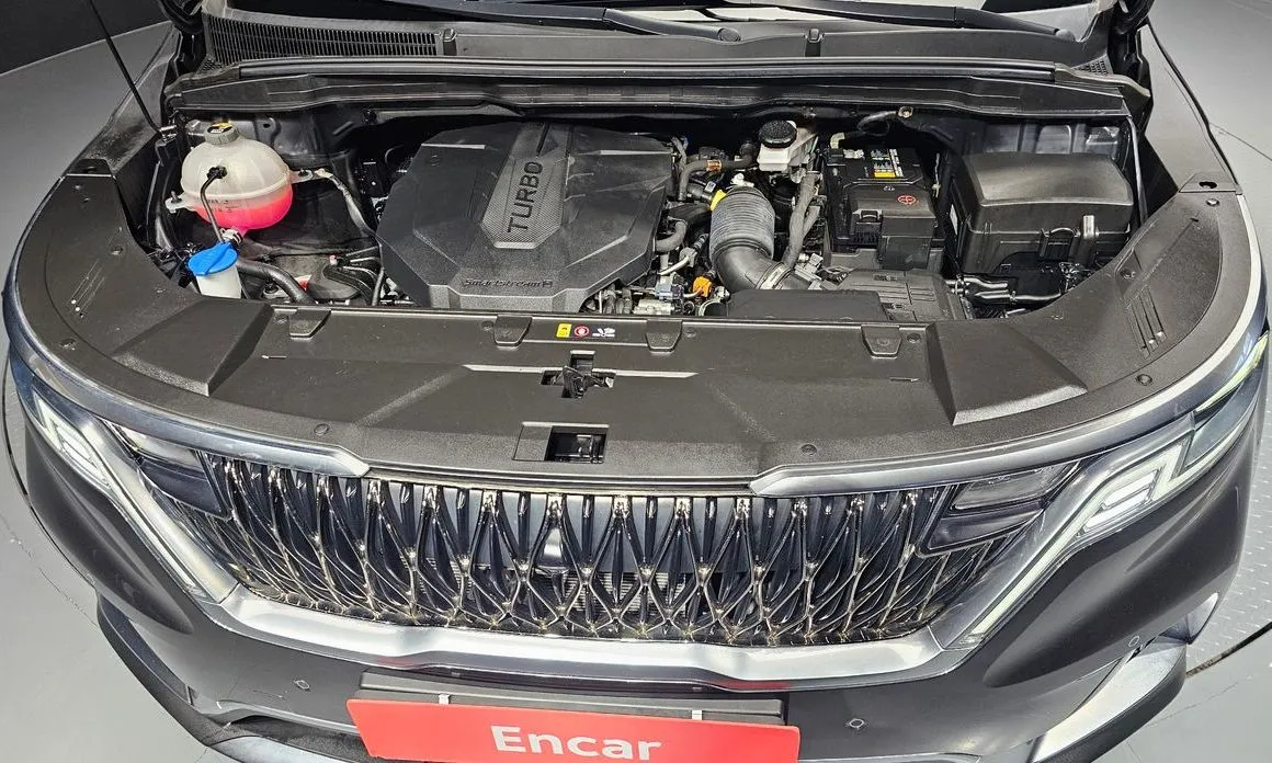 Kia Carnival — фото 10