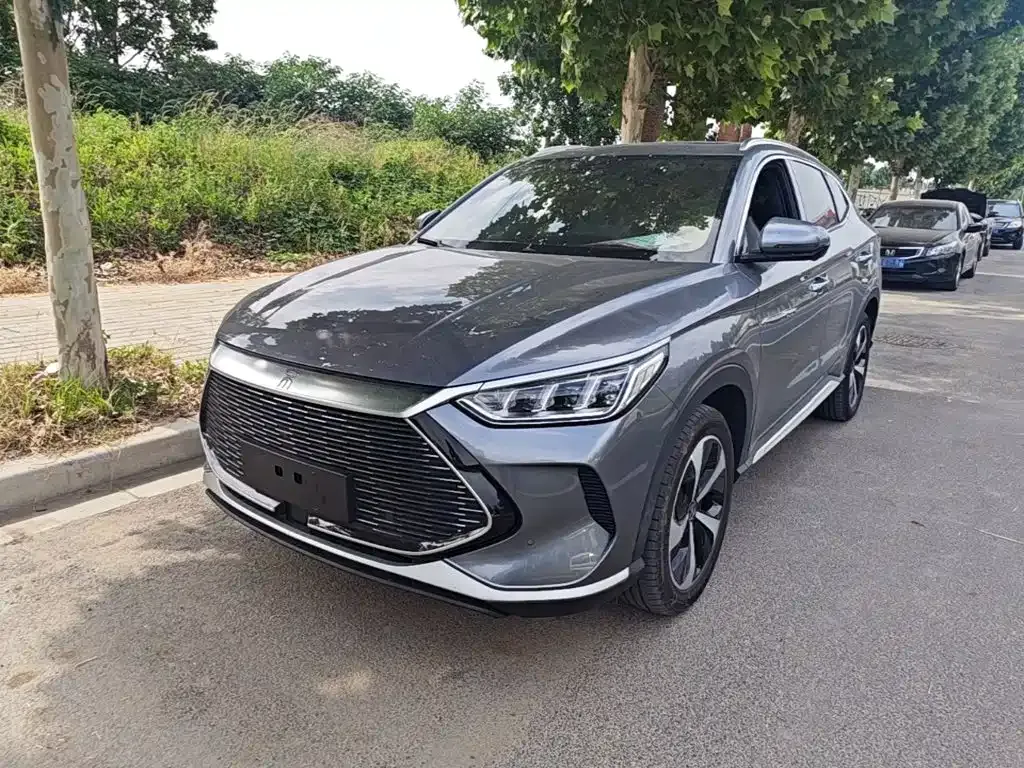 BYD PLUS New Energy — фото 1