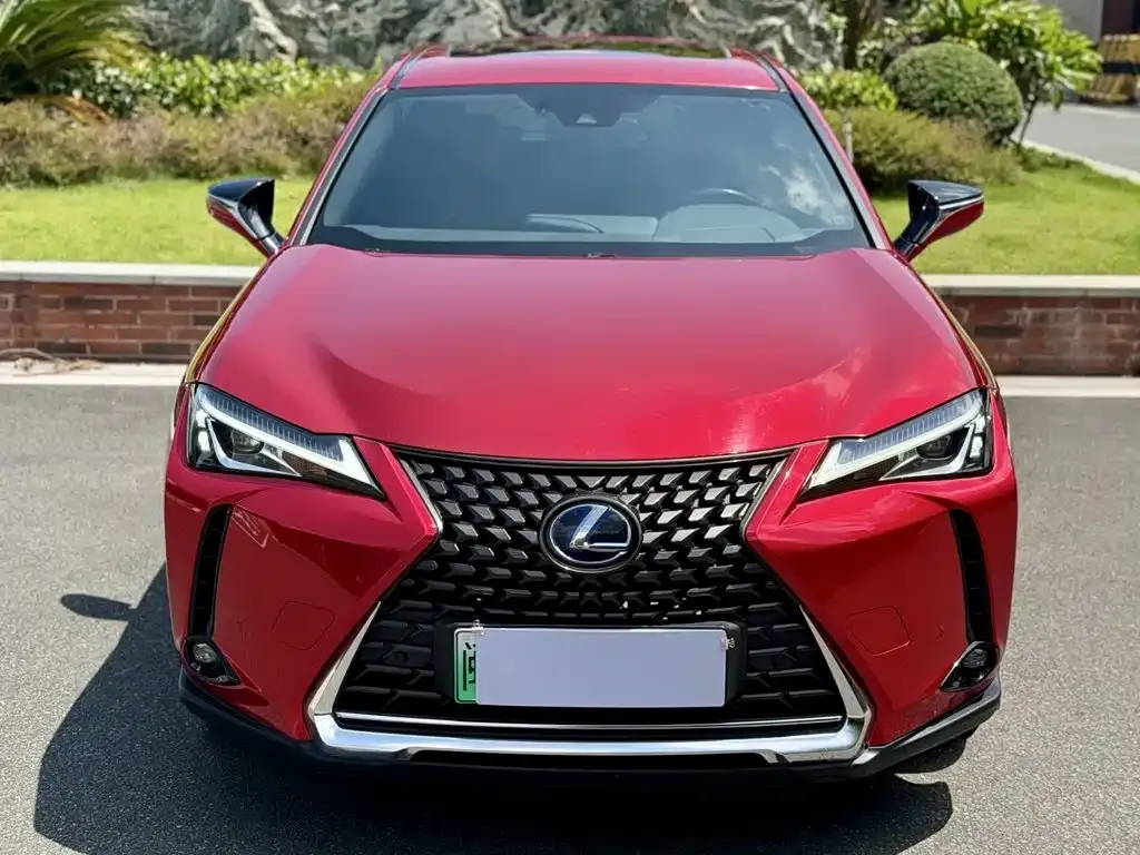 Lexus UX New Energy — фото 9