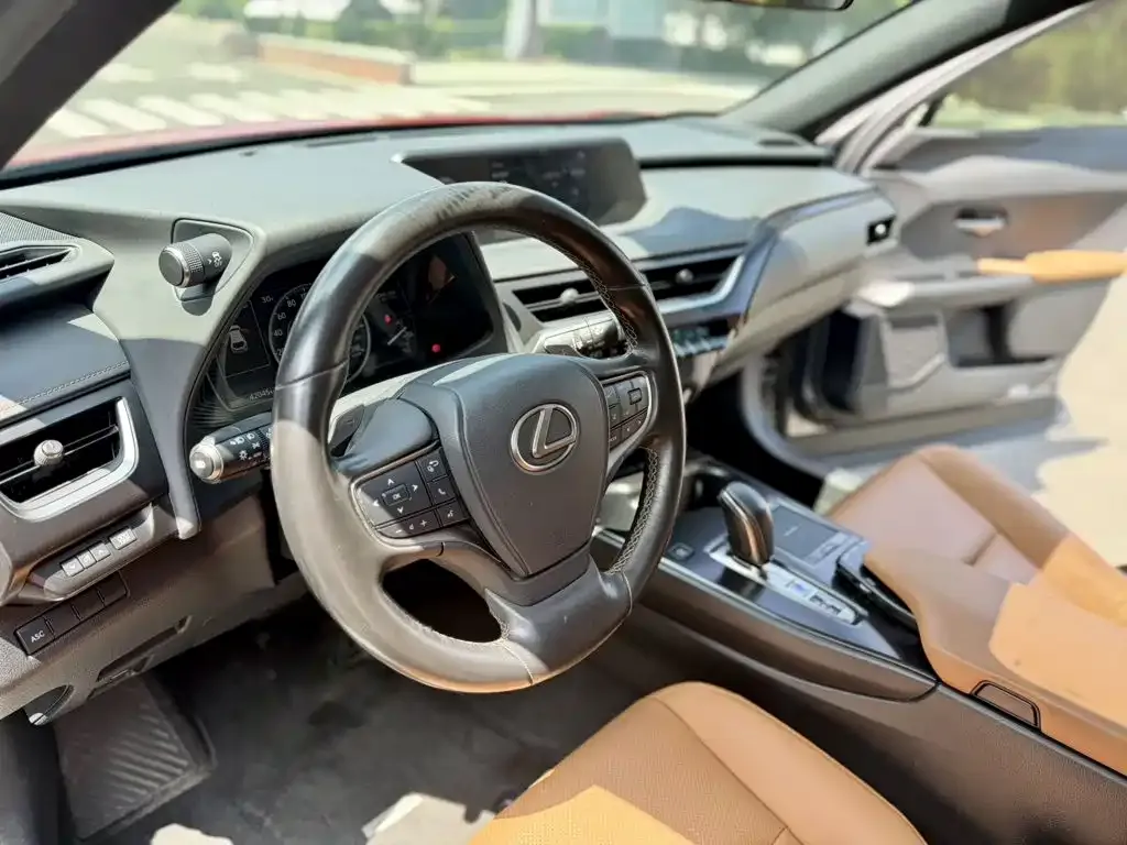 Lexus UX New Energy — фото 5