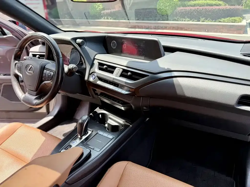 Lexus UX New Energy — фото 4