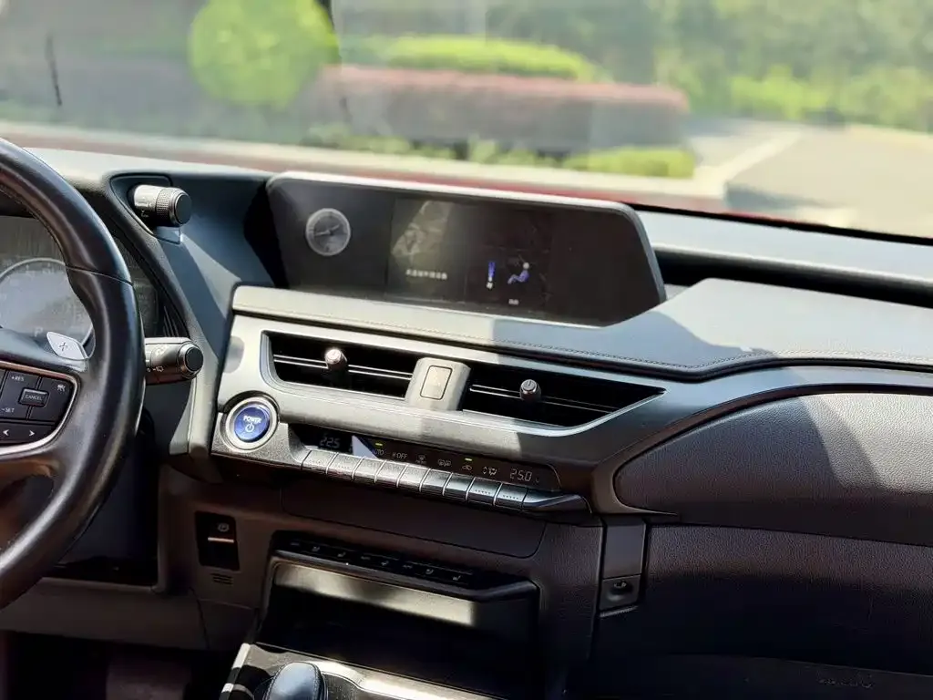 Lexus UX New Energy — фото 6