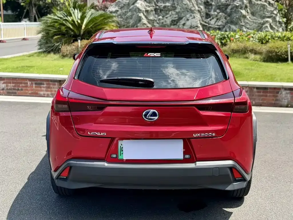 Lexus UX New Energy — фото 8