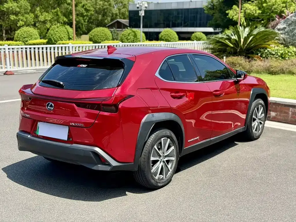 Lexus UX New Energy — фото 7