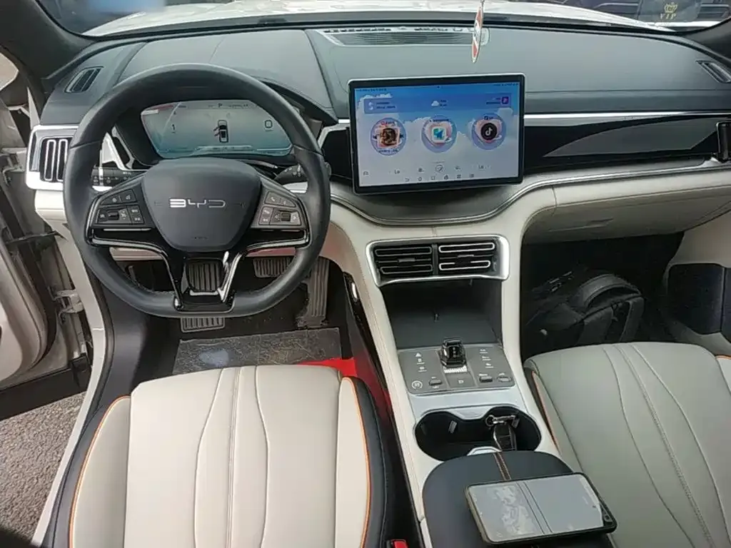 BYD PLUS New Energy 2024 из CN, фото 4