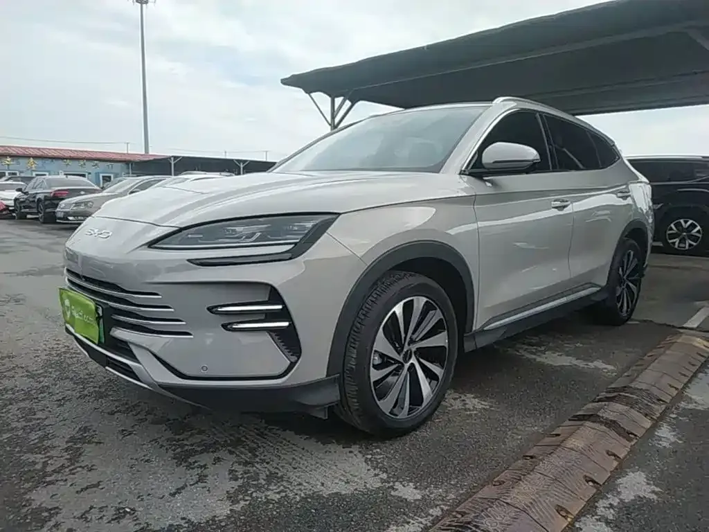 BYD PLUS New Energy 2024 из CN, фото 7