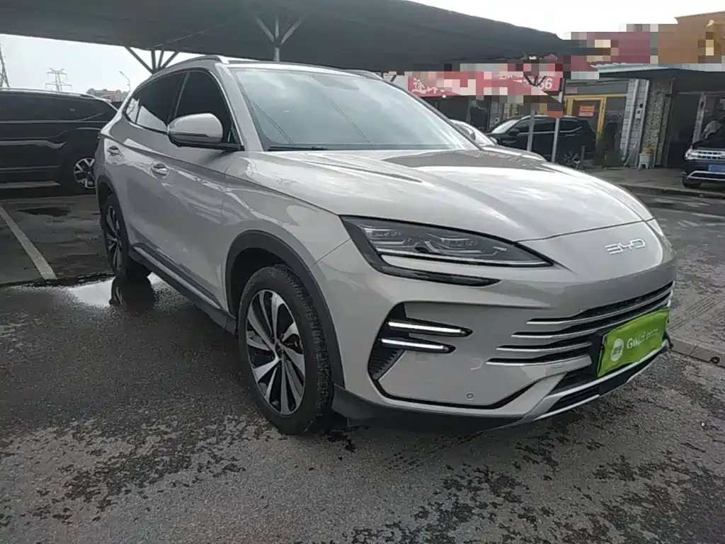 BYD PLUS New Energy 2024 из CN, фото 10