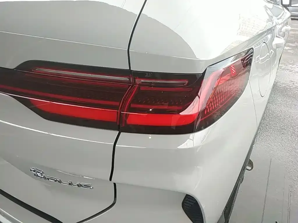 BYD PLUS New Energy 2024 из CN, фото 2
