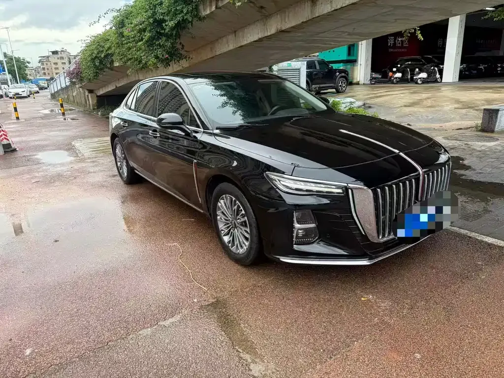 Hongqi H5 2024 из CN, фото 6