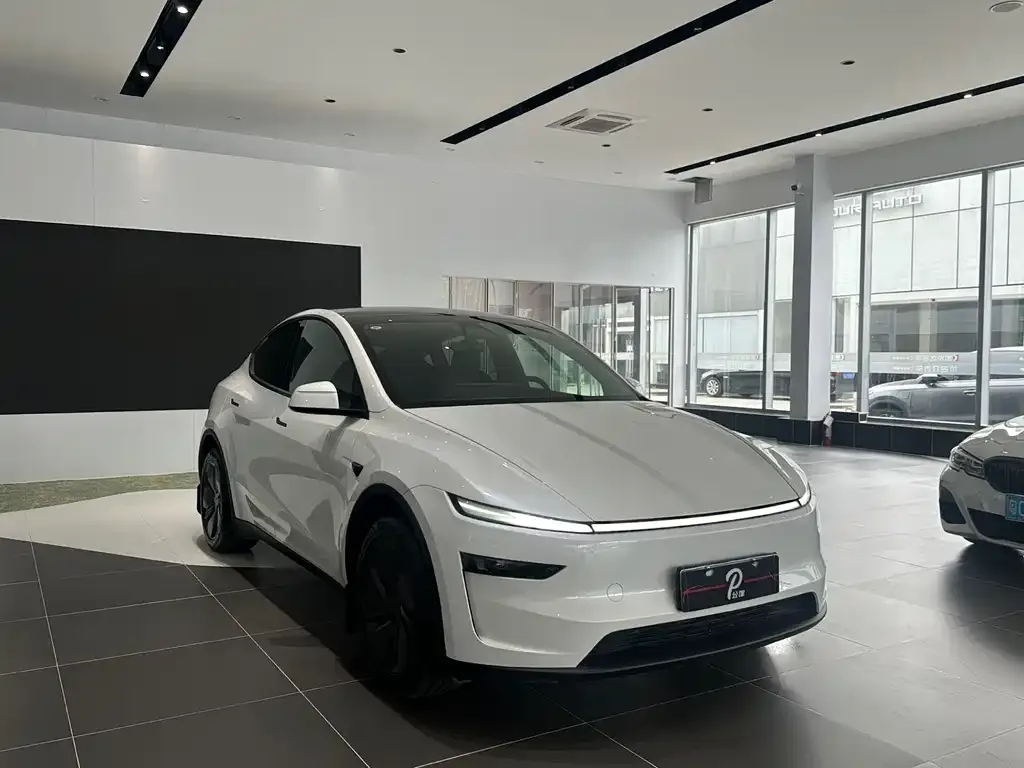 Tesla Model Y — фото 6