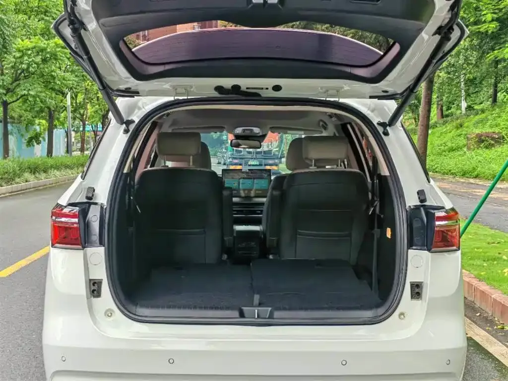 BYD MAX New Energy 2022 из CN, фото 8