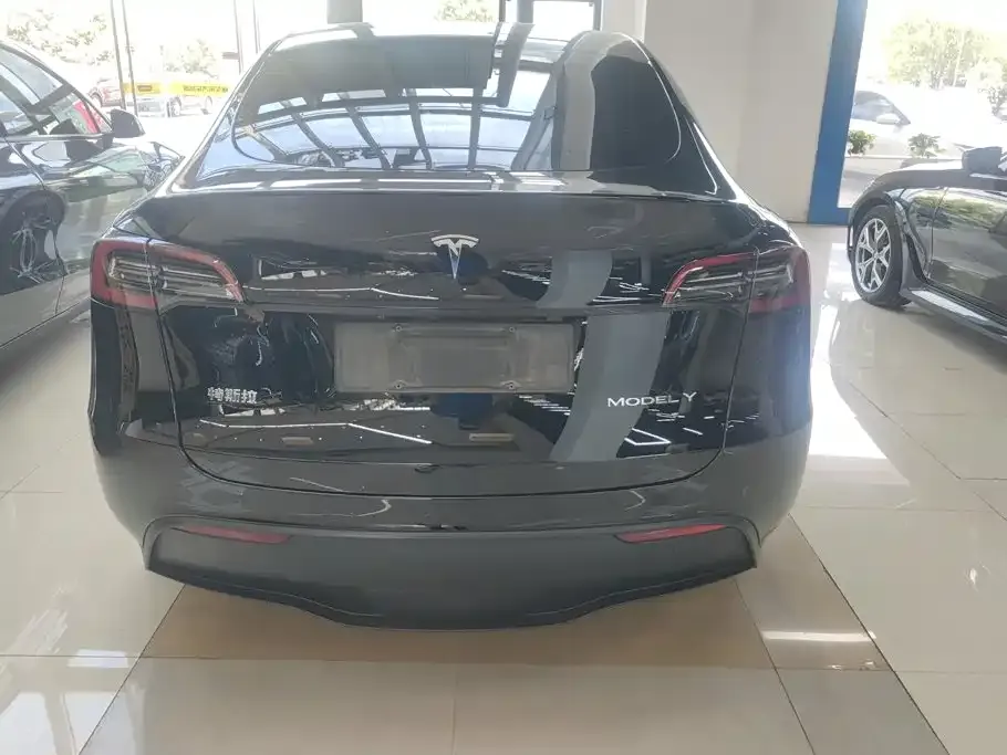 Tesla Model Y — фото 2