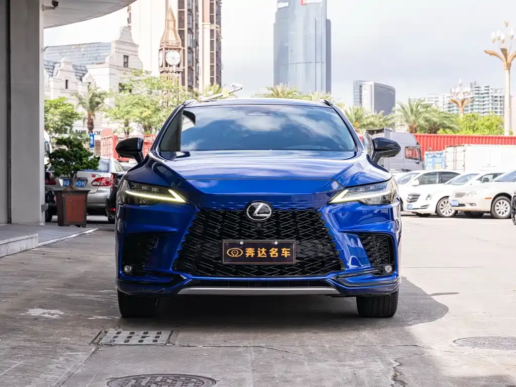 Lexus RX — фото 10