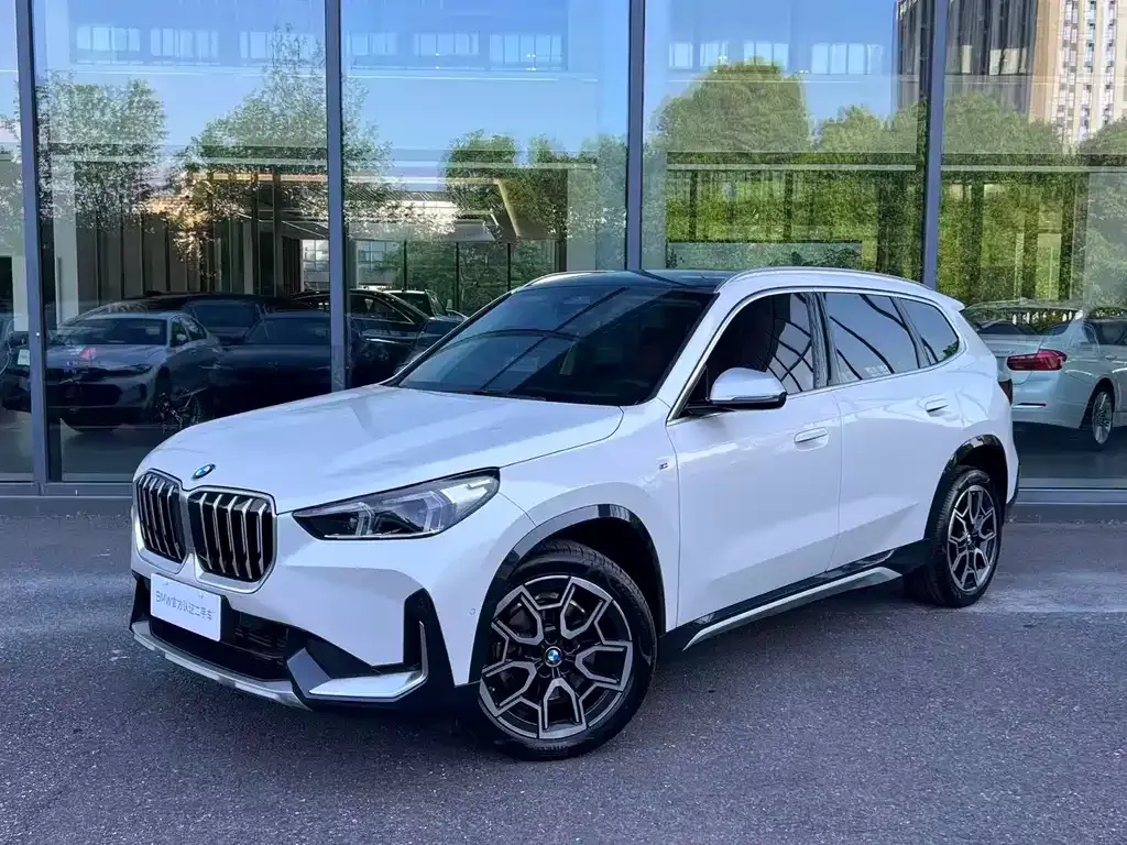 BMW X1 — фото 1