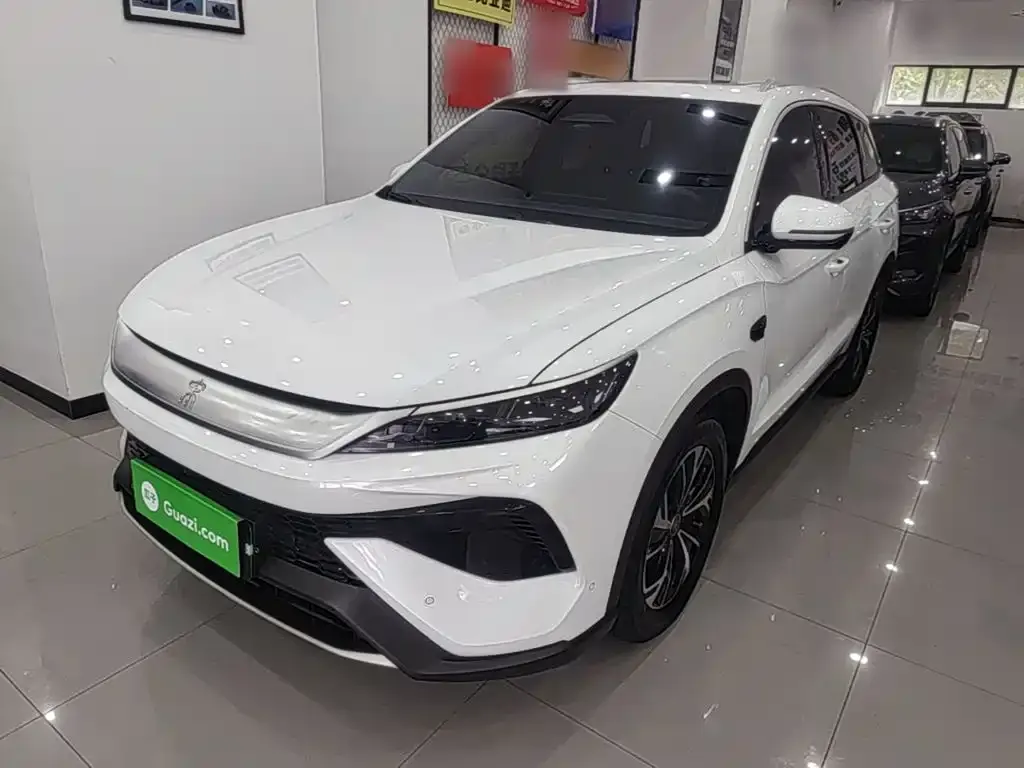 BYD Pro New Energy — фото 1