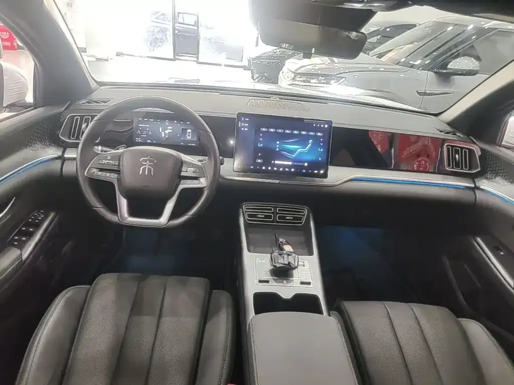 BYD Pro New Energy — фото 10