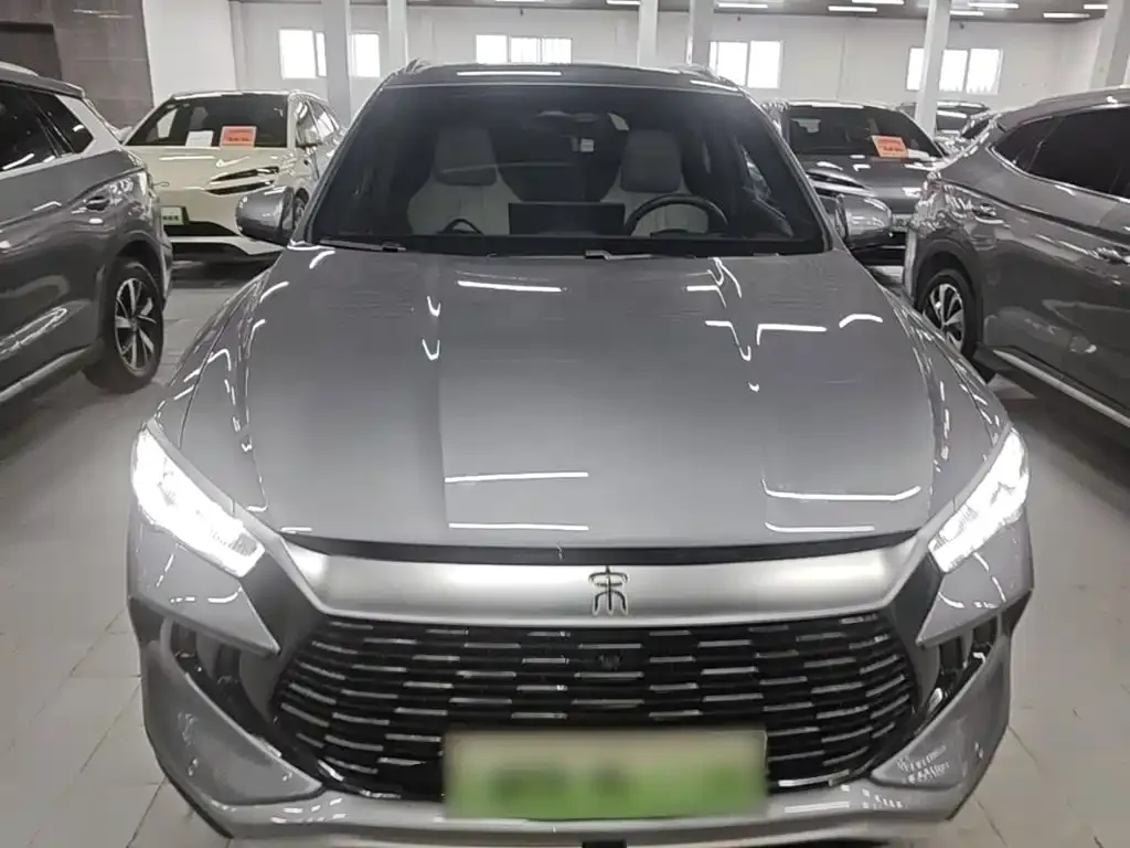 BYD Pro New Energy — фото 4