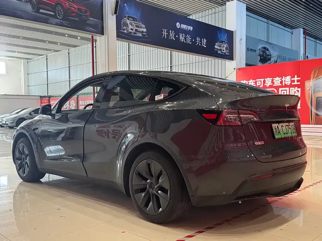 Tesla Model Y — фото 6