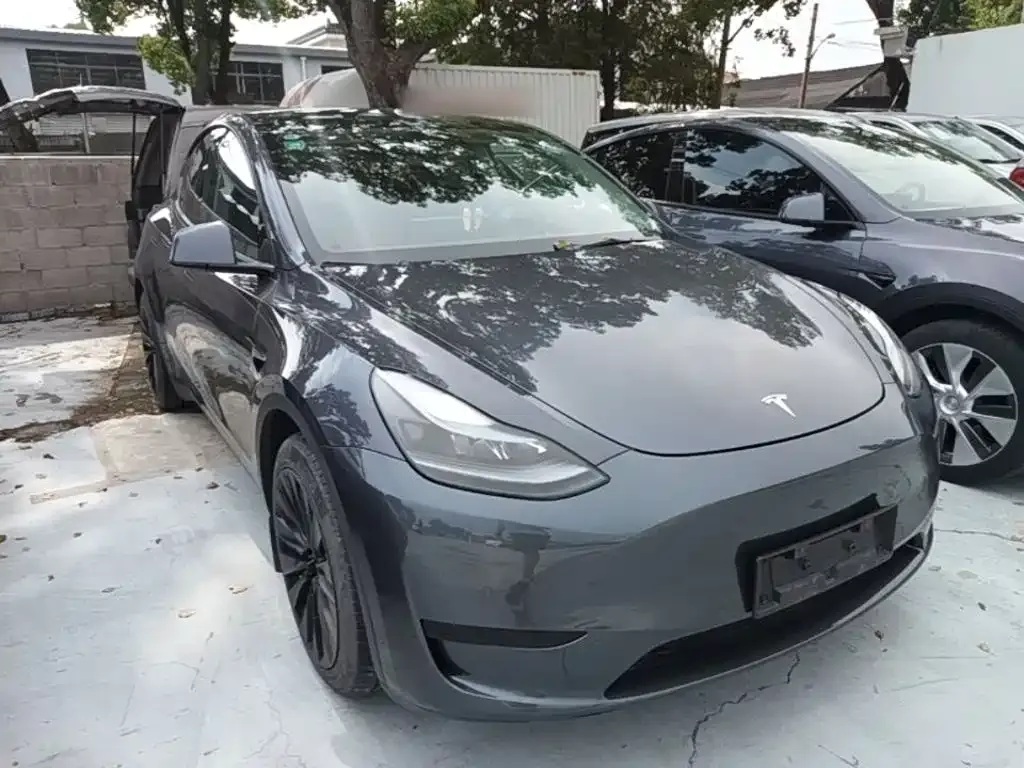 Tesla Model Y — фото 10