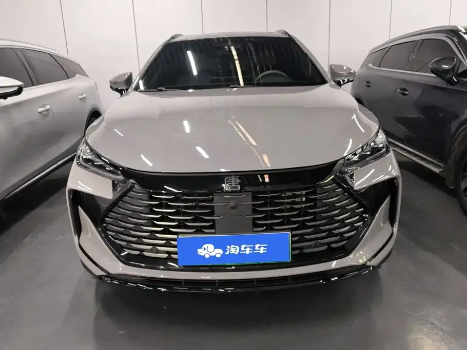 BYD Tang New Energy — фото 10